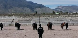 saltillo-podria-contar-con-policia-montada-cam