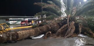 dos-muertos-y-un-cine-derrumbado-ocasionados-por-tromba-en-san-pedro,-coahuila-cam