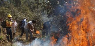 4 muertos en incendiuo forestal en oaxaca