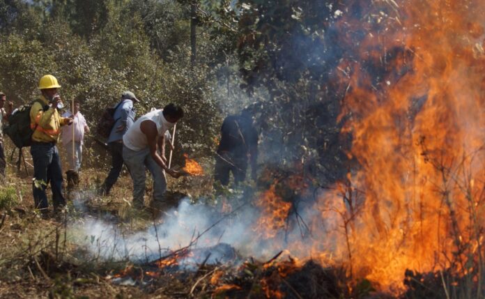 4 muertos en incendiuo forestal en oaxaca