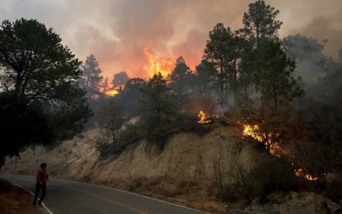 gobiernos compartirán gastos para apagar incendio forestal