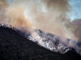 reportan nuevo incendio forestal en coahuila