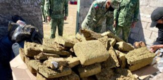 queman droga en campo militar