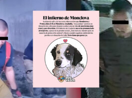 detienen a bombero mataperros