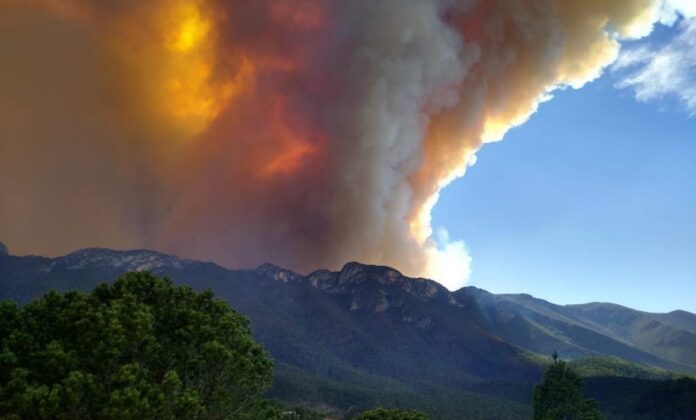 reportan incendios forestales