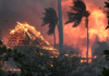 mexicanos fallecen en incendios de hawii